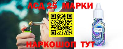 шишки Кимры