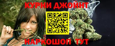 мдма Кингисепп