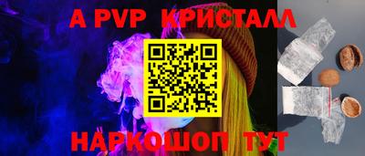 шишки Кимры