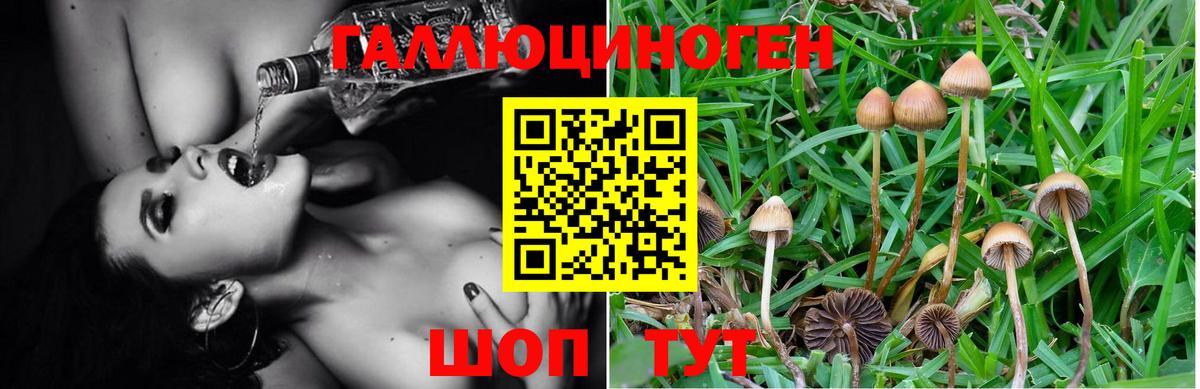 Галлюциногенные грибы Cubensis  Вход с VPN  Узловая 